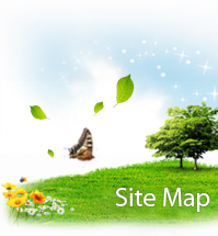 sitemap